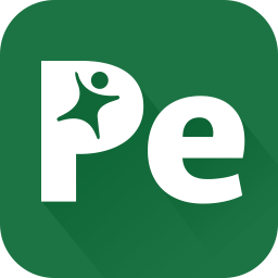 PE icon